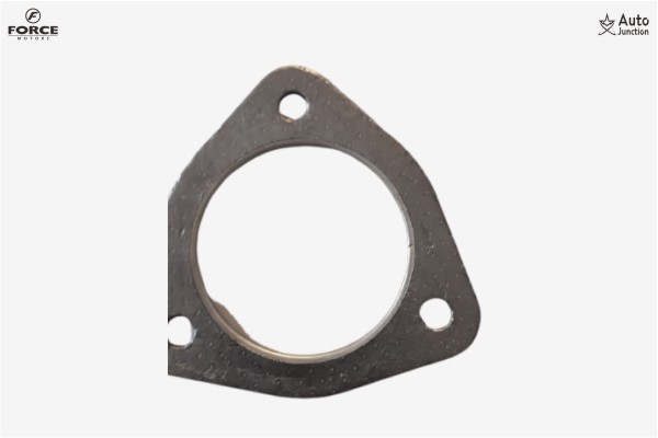 Exhaust Pipe Gasket